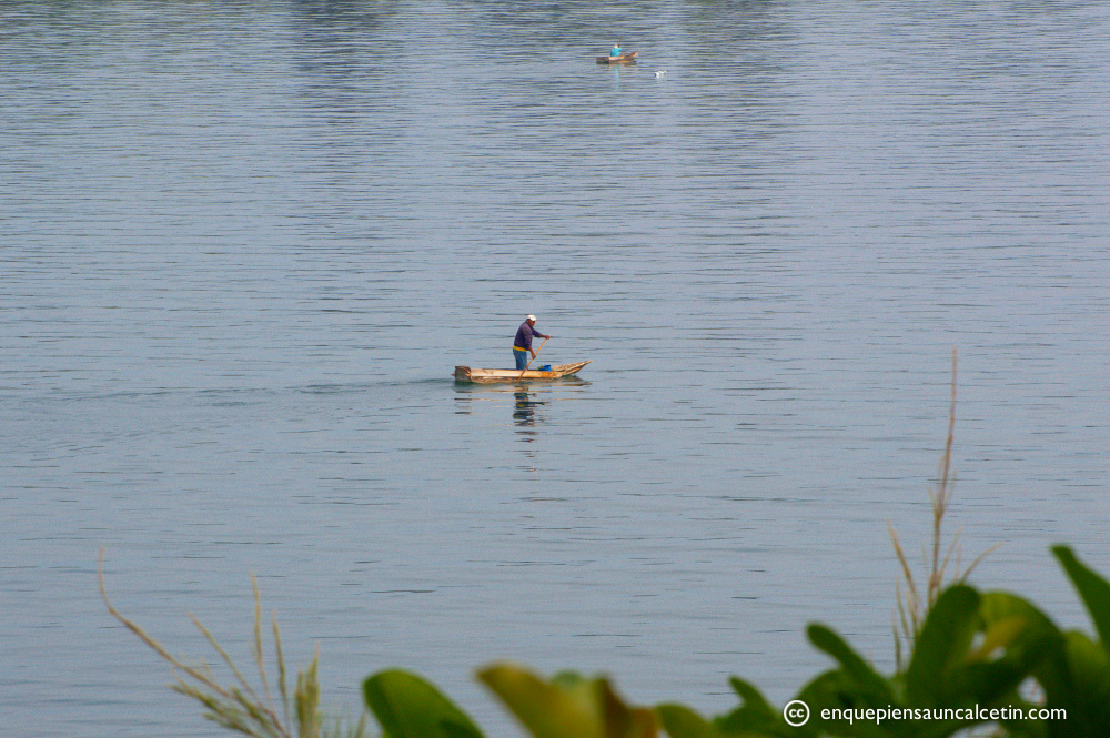 La vida en el lago.