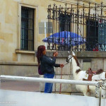 llama bogotá