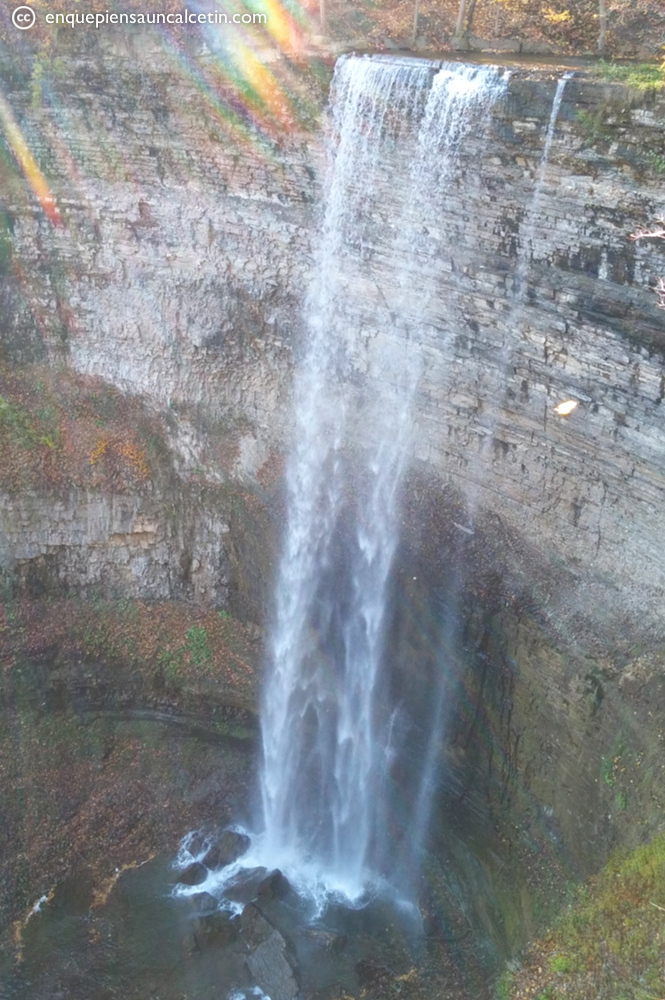 tews falls