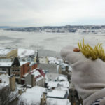 quebec city en invierno