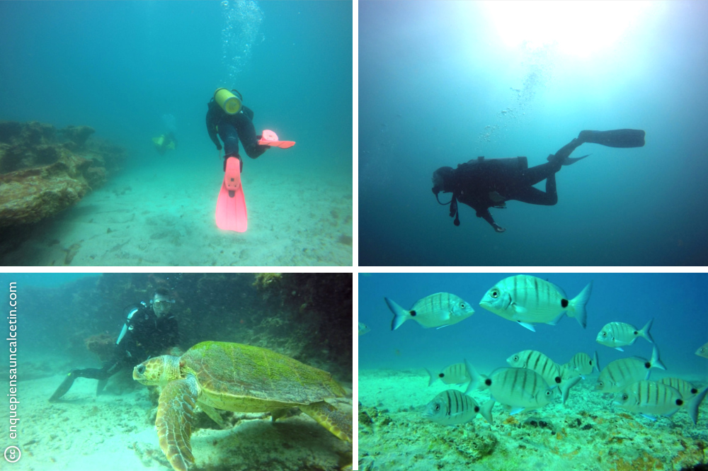 buceo corralejo