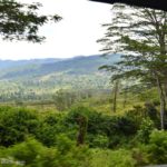 paisaje