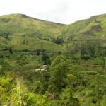 paisaje