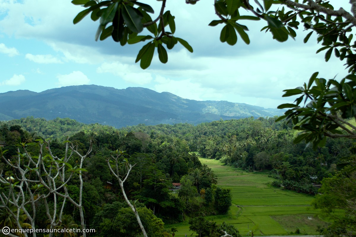 paisaje